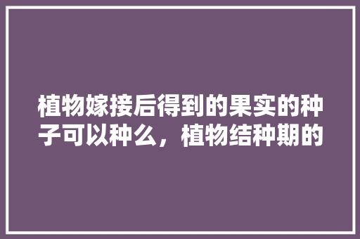 植物嫁接后得到的果实的种子可以种么，植物结种期的养护方法有哪些。  第1张 植物嫁接后得到的果实的种子可以种么，植物结种期的养护方法有哪些。 园艺知识