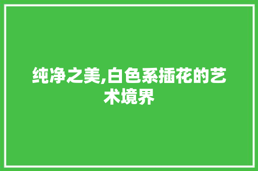纯净之美,白色系插花的艺术境界