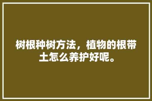 树根种树方法，植物的根带土怎么养护好呢。