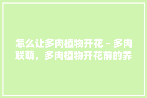 怎么让多肉植物开花 – 多肉联萌，多肉植物开花前的养护方法。