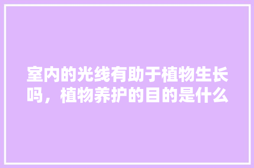 室内的光线有助于植物生长吗，植物养护的目的是什么呢英语。  第1张 室内的光线有助于植物生长吗，植物养护的目的是什么呢英语。 爬藤植物