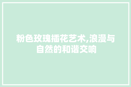 粉色玫瑰插花艺术,浪漫与自然的和谐交响