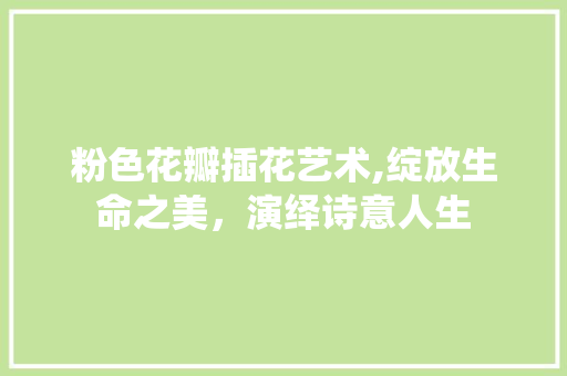 粉色花瓣插花艺术,绽放生命之美，演绎诗意人生