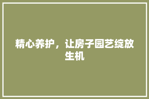 精心养护，让房子园艺绽放生机 土壤管理