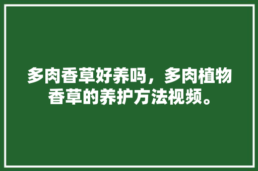 多肉香草好养吗，多肉植物香草的养护方法视频。