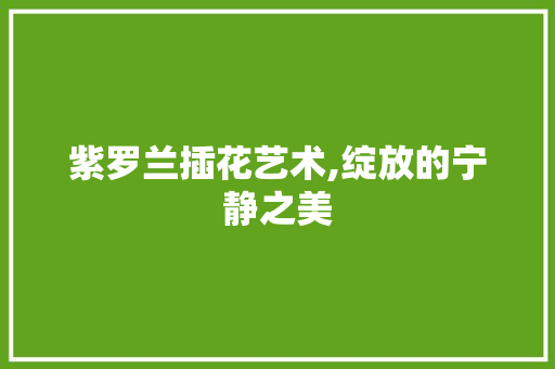紫罗兰插花艺术,绽放的宁静之美