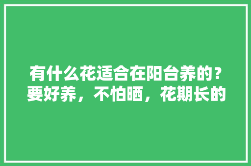有什么花适合在阳台养的？要好养，不怕晒，花期长的，阳台养护的植物图片大全大图。  第1张 有什么花适合在阳台养的？要好养，不怕晒，花期长的，阳台养护的植物图片大全大图。 园艺知识
