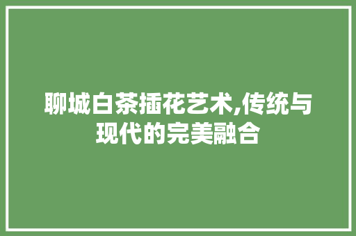 聊城白茶插花艺术,传统与现代的完美融合