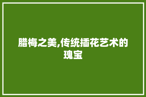 腊梅之美,传统插花艺术的瑰宝