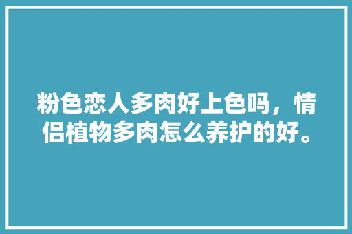 粉色恋人多肉好上色吗，情侣植物多肉怎么养护的好。