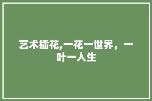 艺术插花,一花一世界，一叶一人生 花卉