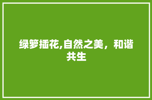 绿箩插花,自然之美，和谐共生