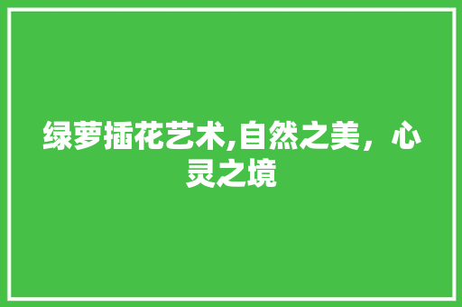 绿萝插花艺术,自然之美，心灵之境 爬藤植物