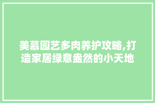 美慕园艺多肉养护攻略,打造家居绿意盎然的小天地