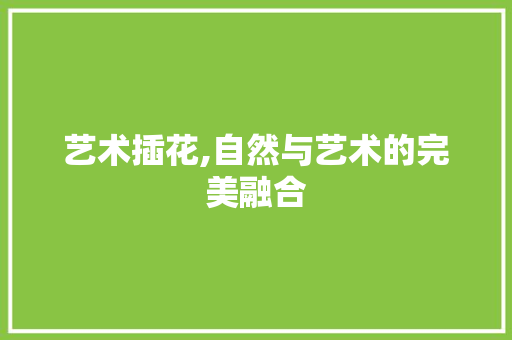 艺术插花,自然与艺术的完美融合 花卉