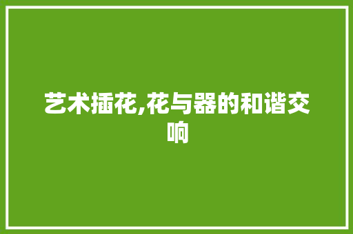 艺术插花,花与器的和谐交响 灌溉技术