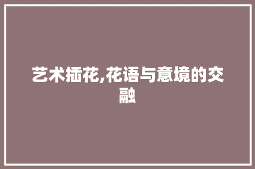 艺术插花,花语与意境的交融