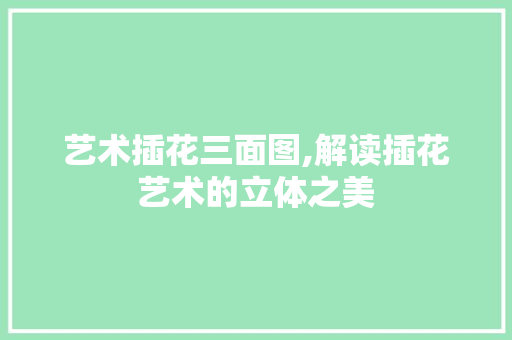 艺术插花三面图,解读插花艺术的立体之美 爬藤植物