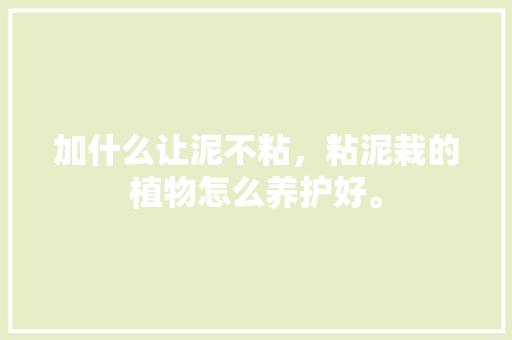 加什么让泥不粘，粘泥栽的植物怎么养护好。
