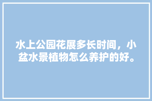 水上公园花展多长时间，小盆水景植物怎么养护的好。