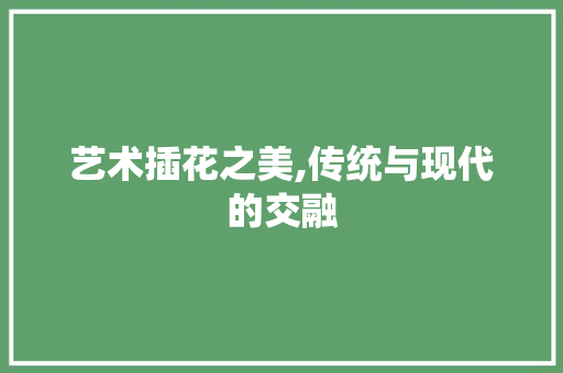 艺术插花之美,传统与现代的交融 爬藤植物