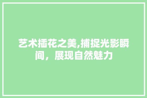 艺术插花之美,捕捉光影瞬间，展现自然魅力 土壤管理
