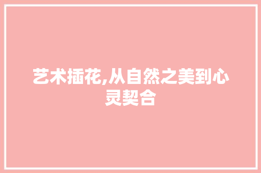 艺术插花,从自然之美到心灵契合 土壤选择