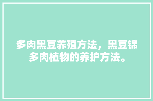 多肉黑豆养殖方法，黑豆锦多肉植物的养护方法。