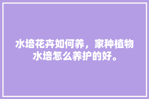 水培花卉如何养，家种植物水培怎么养护的好。  第1张 水培花卉如何养，家种植物水培怎么养护的好。 土壤选择