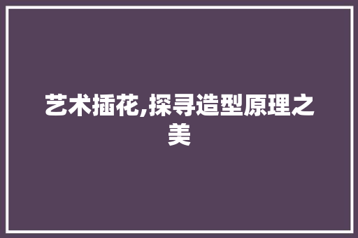 艺术插花,探寻造型原理之美 爬藤植物