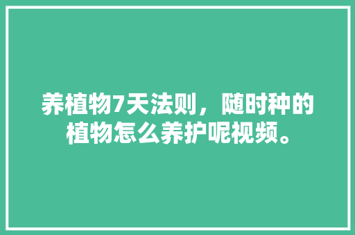 养植物7天法则，随时种的植物怎么养护呢视频。