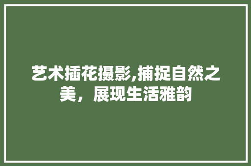 艺术插花摄影,捕捉自然之美，展现生活雅韵