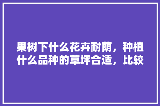 果树下什么花卉耐荫，种植什么品种的草坪合适，比较好养护的草坪植物有哪些。
