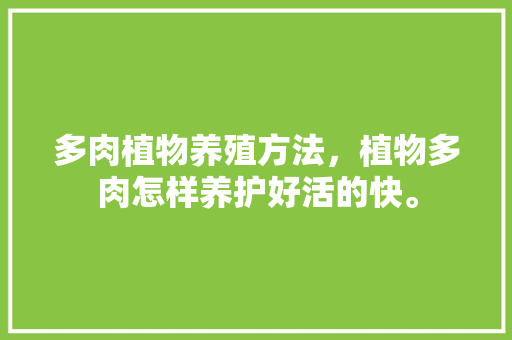 多肉植物养殖方法，植物多肉怎样养护好活的快。  第1张 多肉植物养殖方法，植物多肉怎样养护好活的快。 植物分类
