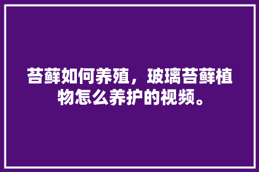 苔藓如何养殖，玻璃苔藓植物怎么养护的视频。
