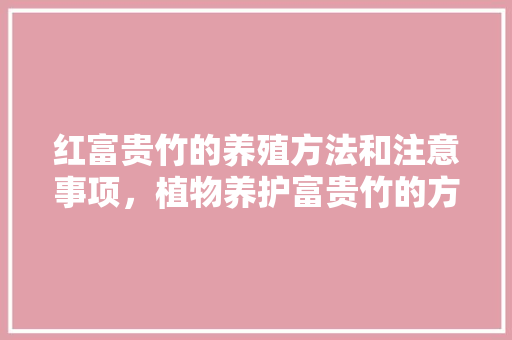 红富贵竹的养殖方法和注意事项，植物养护富贵竹的方法有哪些。