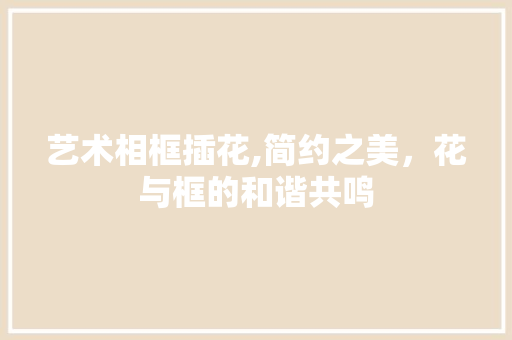 艺术相框插花,简约之美，花与框的和谐共鸣 花卉