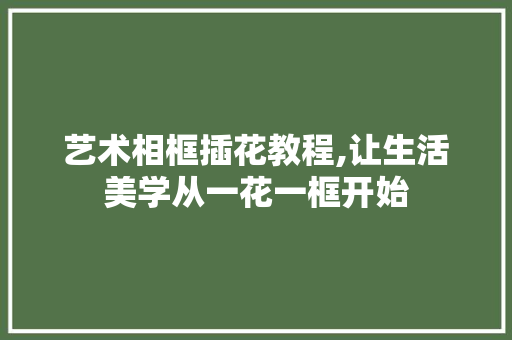 艺术相框插花教程,让生活美学从一花一框开始