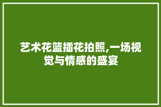 艺术花篮插花拍照,一场视觉与情感的盛宴 土壤选择