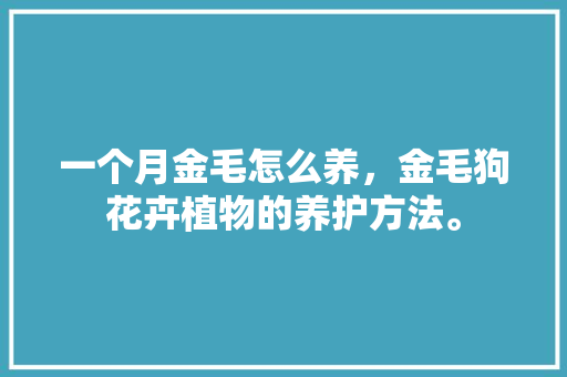 一个月金毛怎么养，金毛狗花卉植物的养护方法。  第1张 一个月金毛怎么养，金毛狗花卉植物的养护方法。 修剪技巧