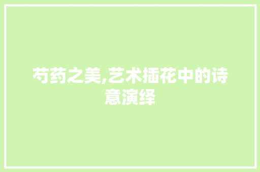 芍药之美,艺术插花中的诗意演绎 养护技巧