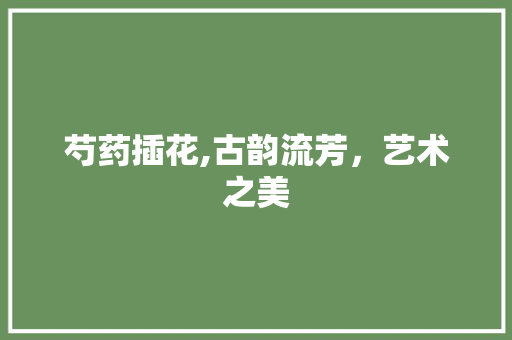 芍药插花,古韵流芳，艺术之美