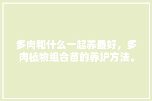 多肉和什么一起养最好，多肉植物组合苗的养护方法。