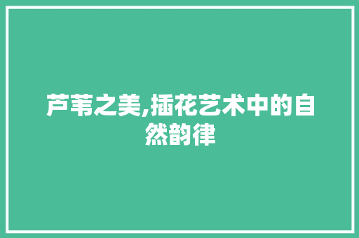 芦苇之美,插花艺术中的自然韵律