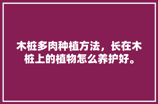 木桩多肉种植方法，长在木桩上的植物怎么养护好。
