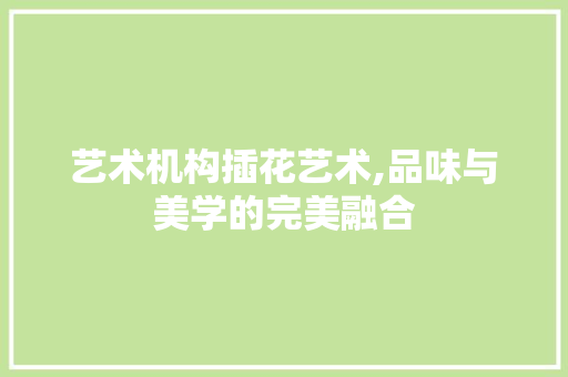 艺术机构插花艺术,品味与美学的完美融合 养护技巧