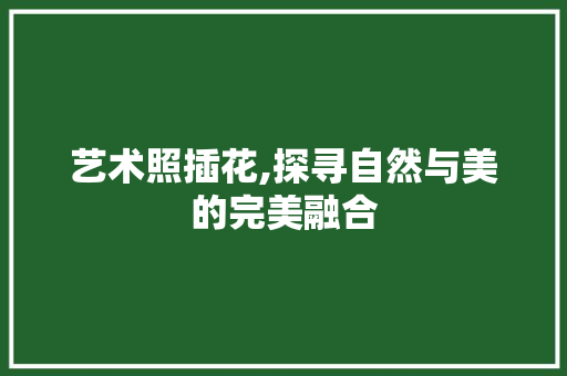 艺术照插花,探寻自然与美的完美融合