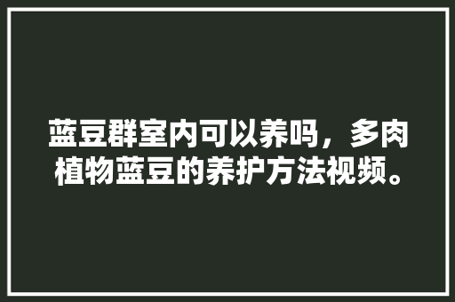 蓝豆群室内可以养吗，多肉植物蓝豆的养护方法视频。