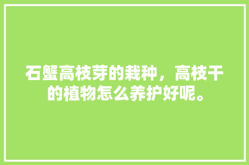 石蟹高枝芽的栽种，高枝干的植物怎么养护好呢。  第1张 石蟹高枝芽的栽种，高枝干的植物怎么养护好呢。 树木