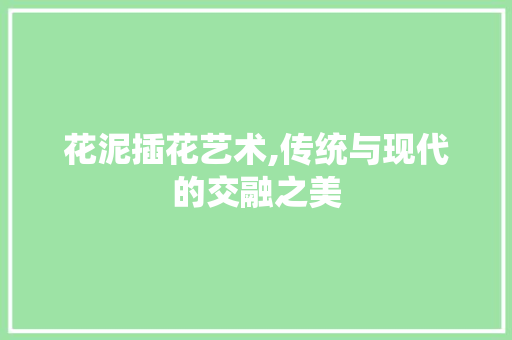 花泥插花艺术,传统与现代的交融之美